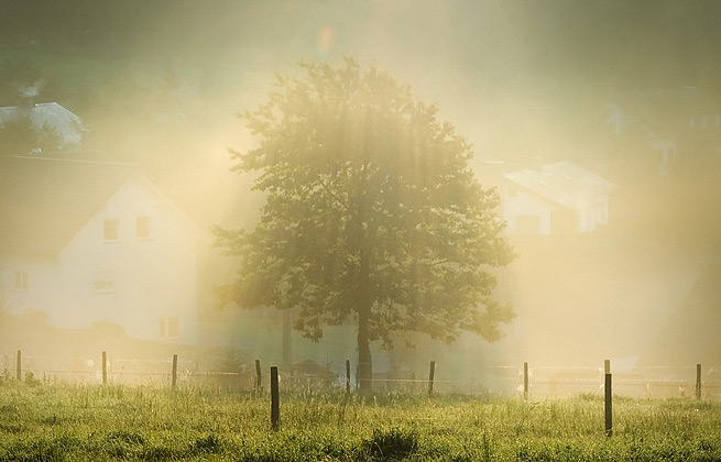 手机版ddos攻击器