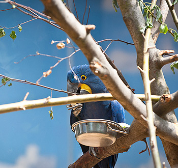 ddos在线攻击平台