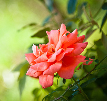 ddos流量攻击购买