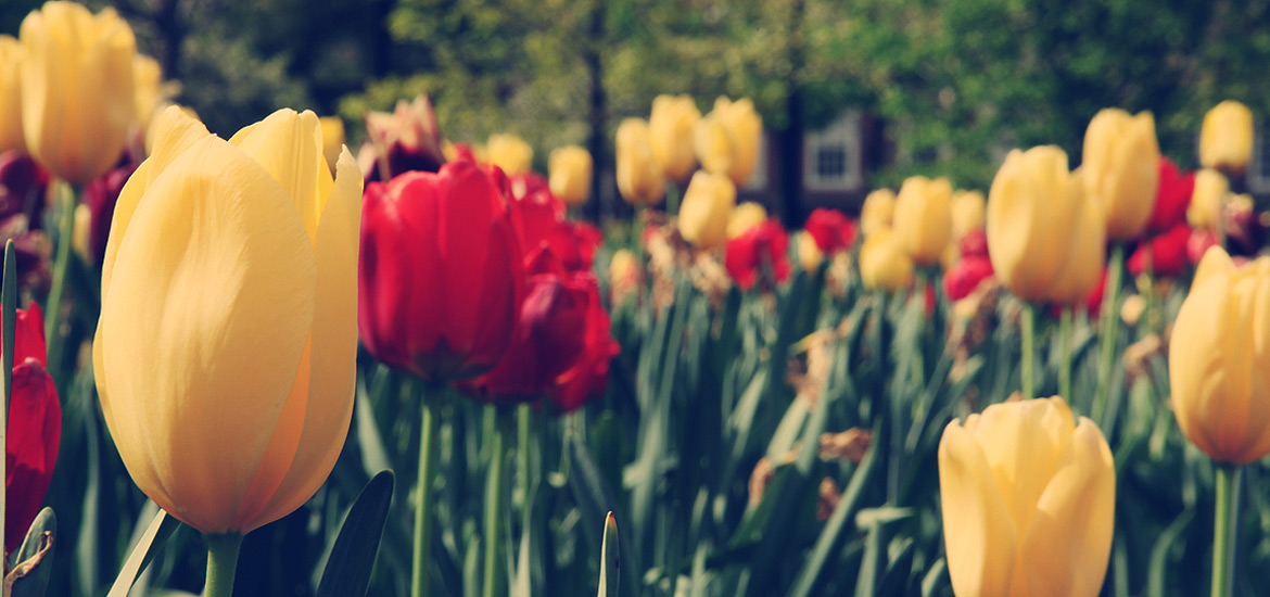 DDOS在线攻击平台